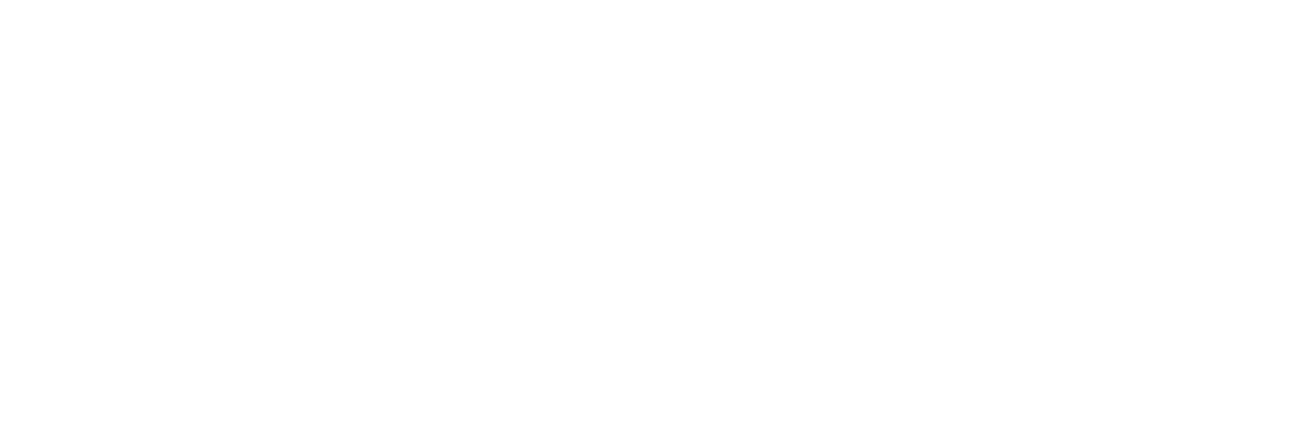 بکو سرویس